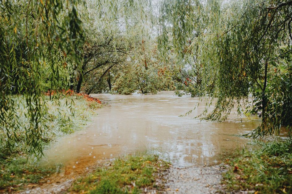 Crecida del río genera preocupación en Balao por desborde en varios sectores