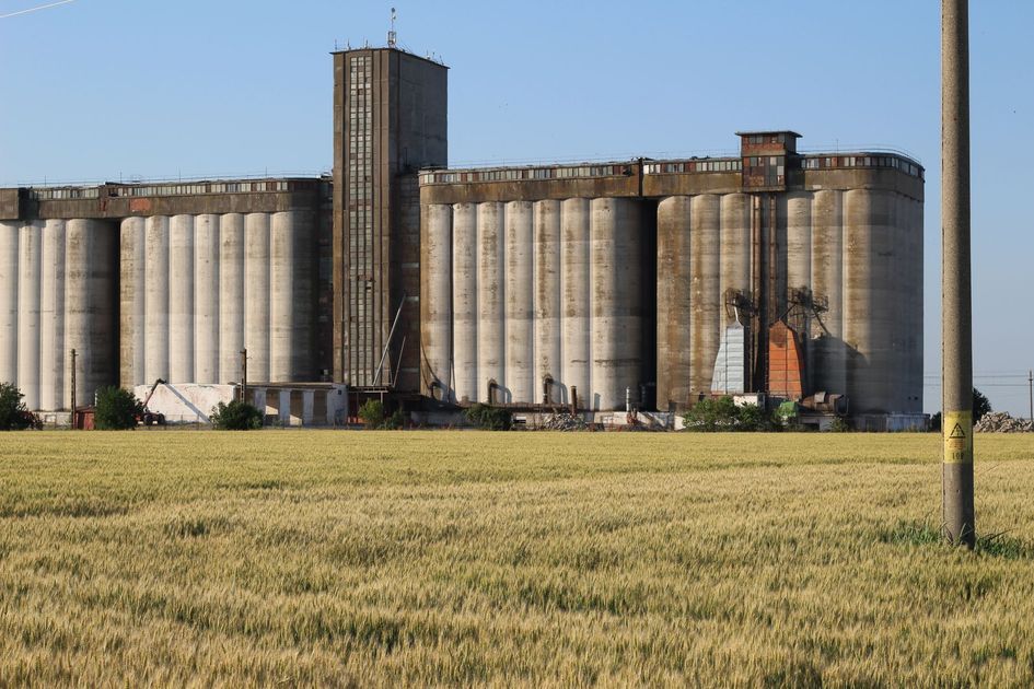 Arroceros de Daule y Salitre paralizaron la T con reclamos por precios y salud