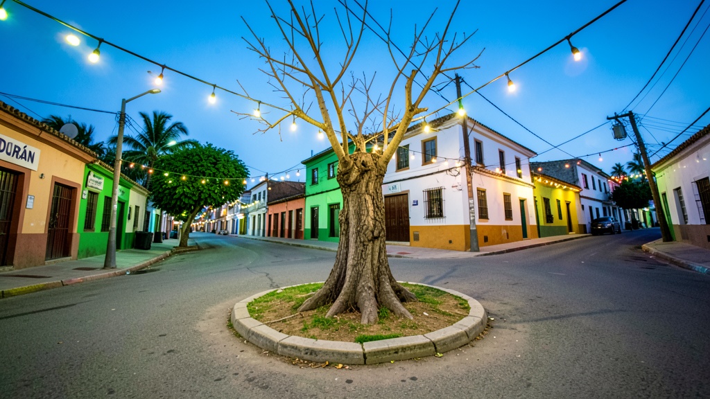 Municipalidad de Durán invita al encendido del árbol navideño en el Malecón Gilbert