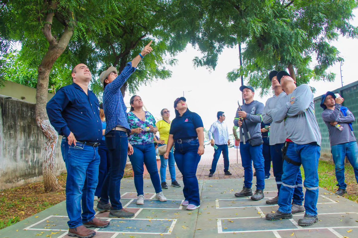 Capacitación en La Aurora para mejorar el cuidado del arbolado urbano