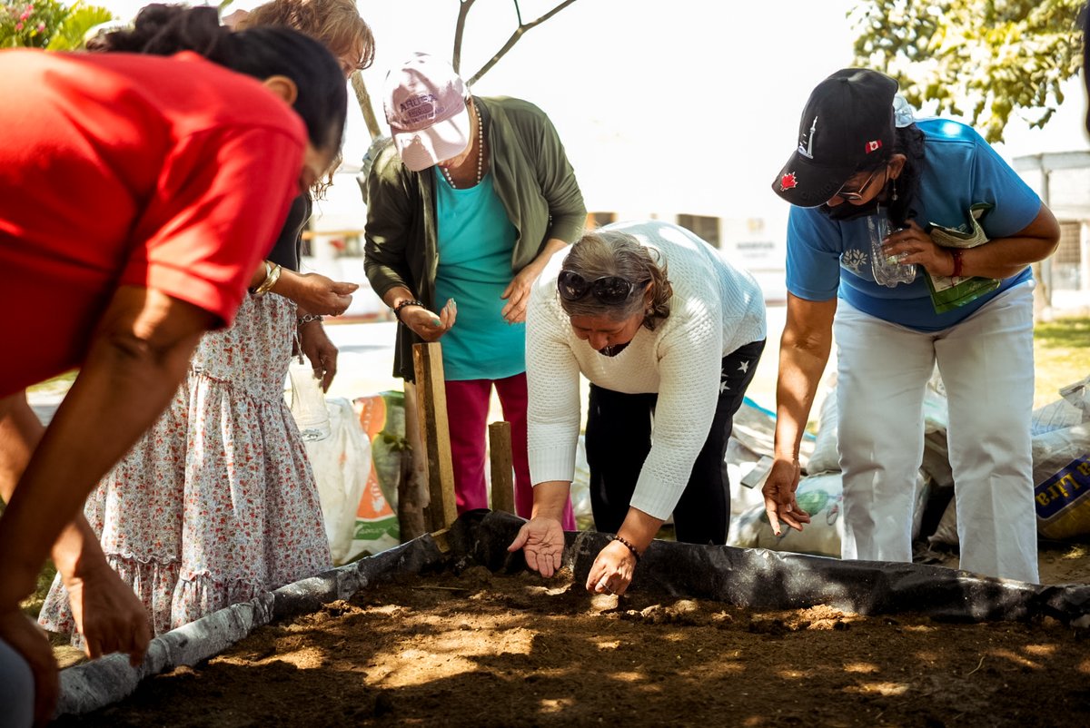 Alcaldía de Playas impulsa huertos terapéuticos para mejorar salud mental de adultos mayores