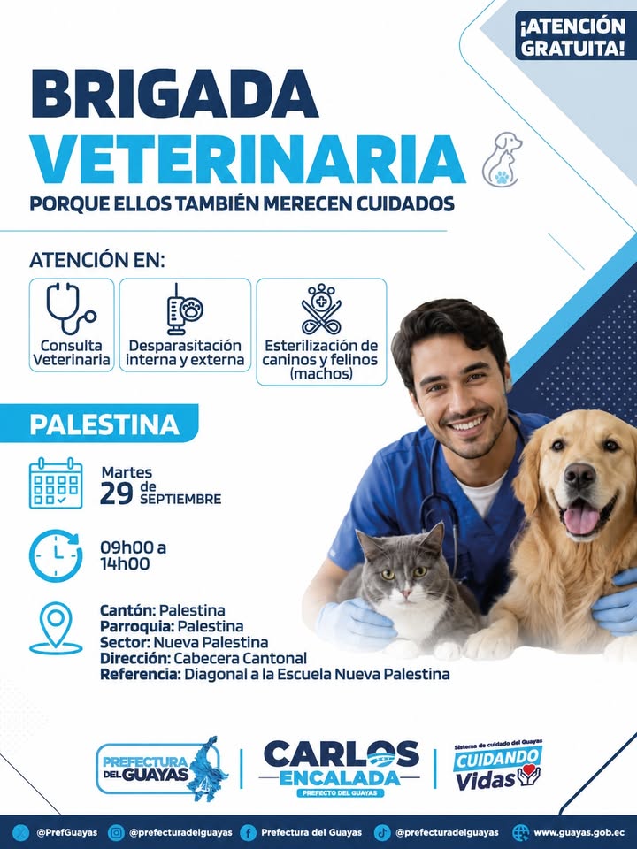 Brigada veterinaria atiende a mascotas en Nueva Palestina este martes