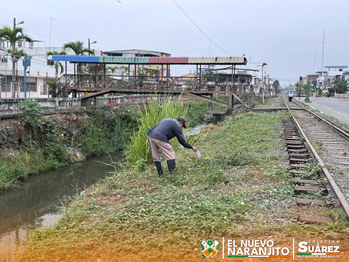 Desbroce en el río El Chorrón mantiene limpio a Naranjito