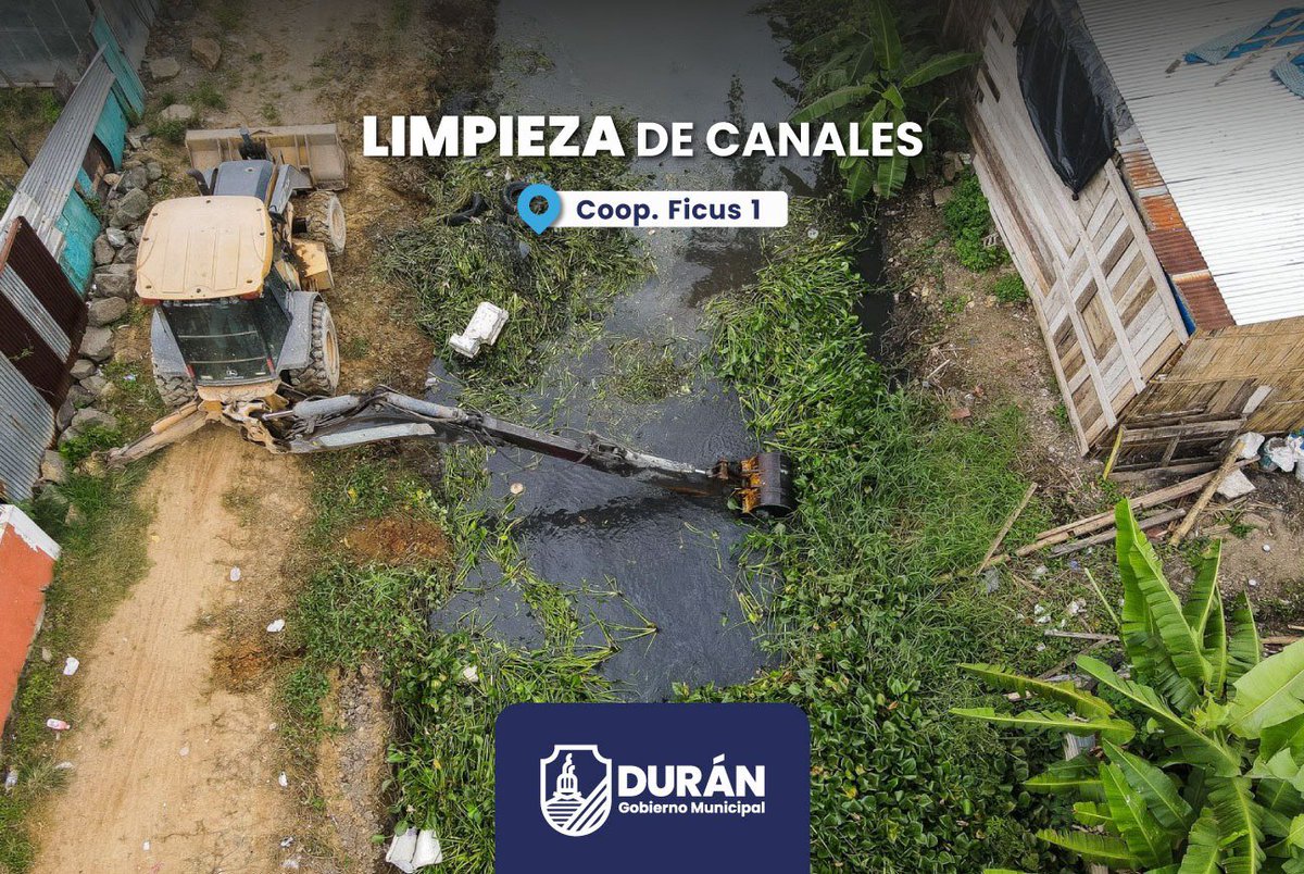 Mantienen canal de aguas lluvias en Coop. Ficus 1 para evitar inundaciones