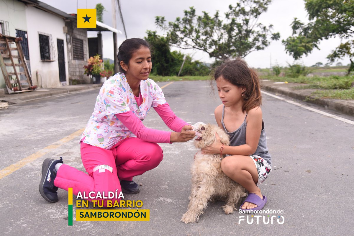 Brigada médica y veterinaria visita Las Trancas para prevenir enfermedades invernales