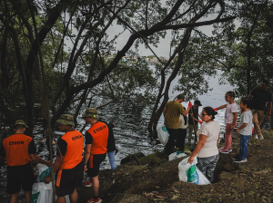 Guayaquil siembra 5.600 árboles nativos y reduce el calor en zonas estratégicas