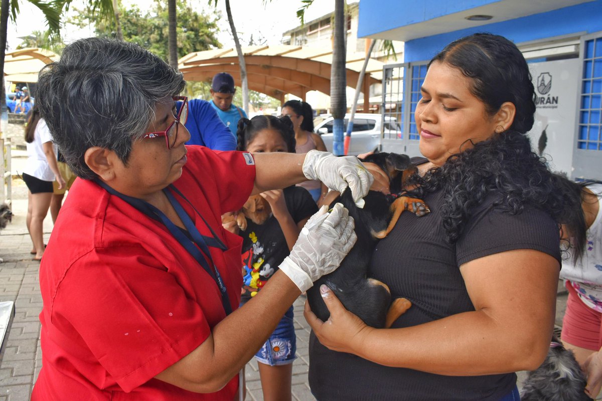 Brigada veterinaria de Durán atendió a 180 mascotas esta semana