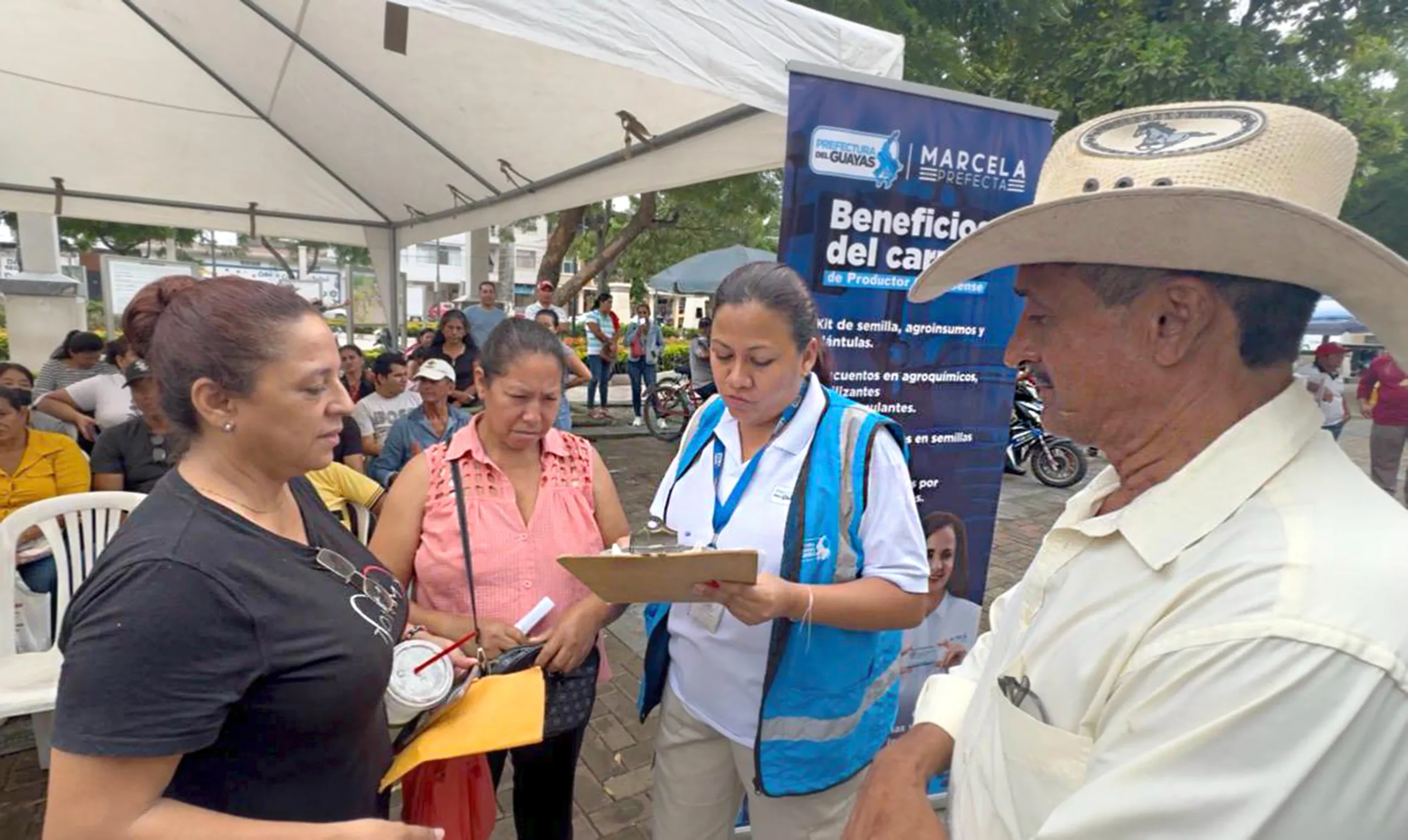 468 productores de Daule reciben bonos por inundaciones en arroz y maíz