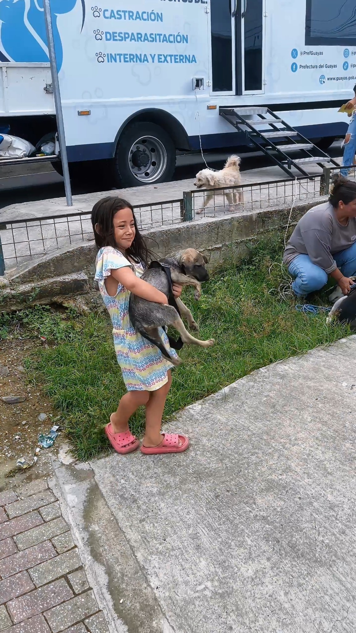 Brigada veterinaria llega a Nueva Palestina con apoyo municipal y provincial
