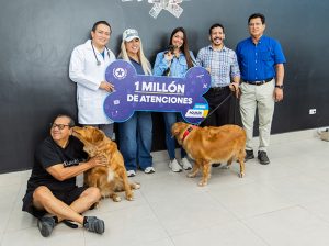Guayaquil alcanza el millón de atenciones veterinarias con el caso del cachorro Peluche