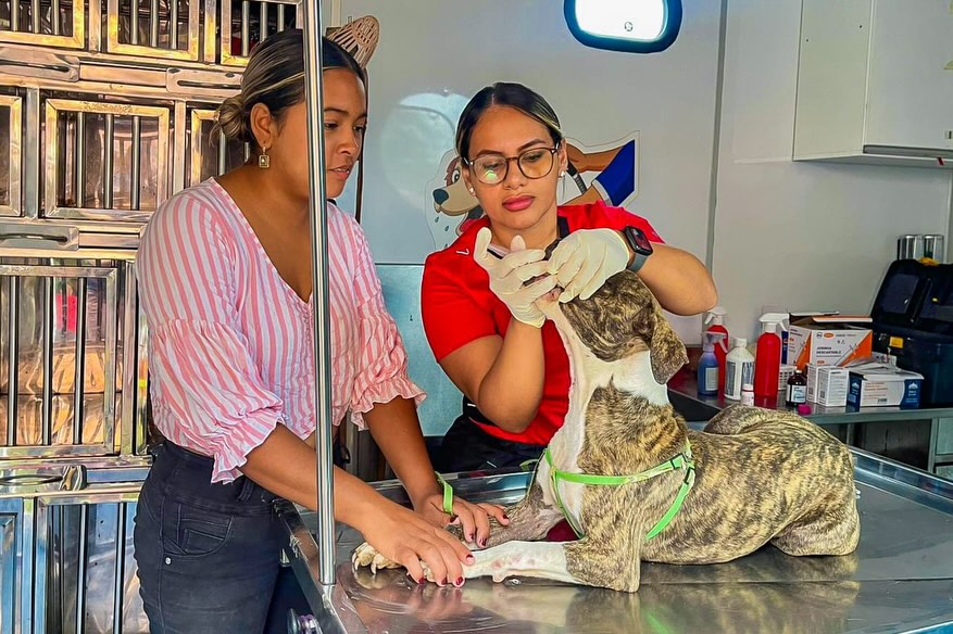 Clínica Móvil Veterinaria del GAD Daule continúa con servicios gratuitos en el cantón
