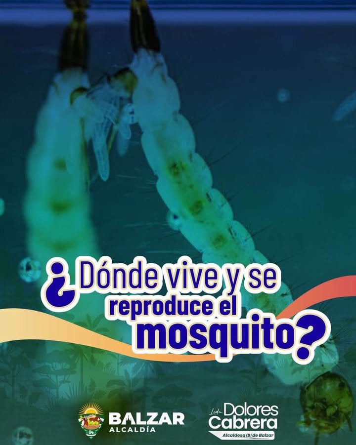Alcaldía de Balzar y MSP impulsan campaña contra el dengue en el cantón