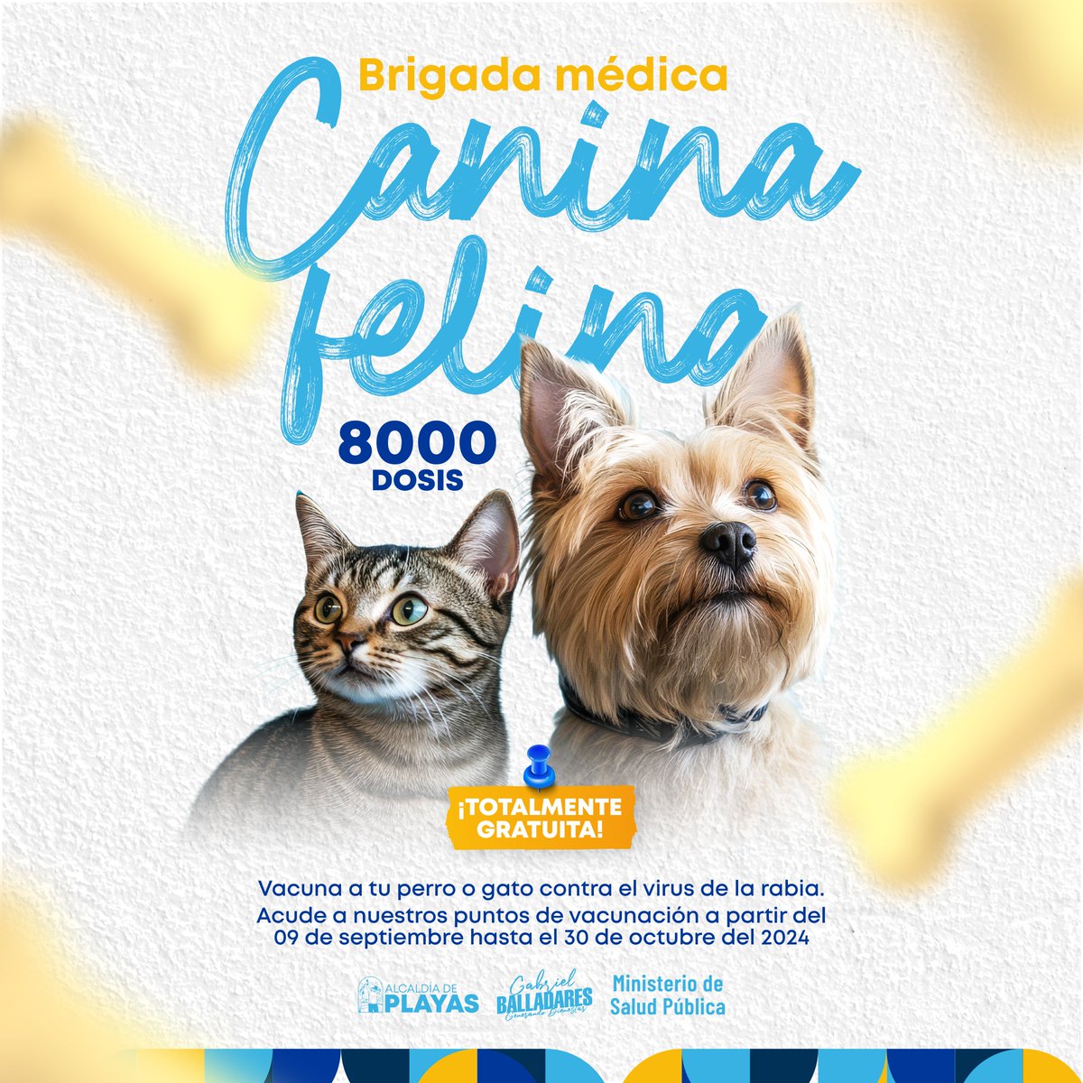 Playas inicia campaña antirrábica canina y felina el 9 de septiembre