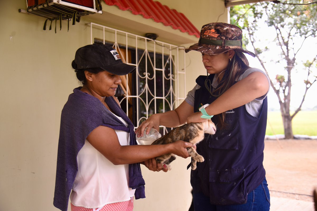 Brigada veterinaria del GAD Samborondón atendió a mascotas en San Vicente Ferrer