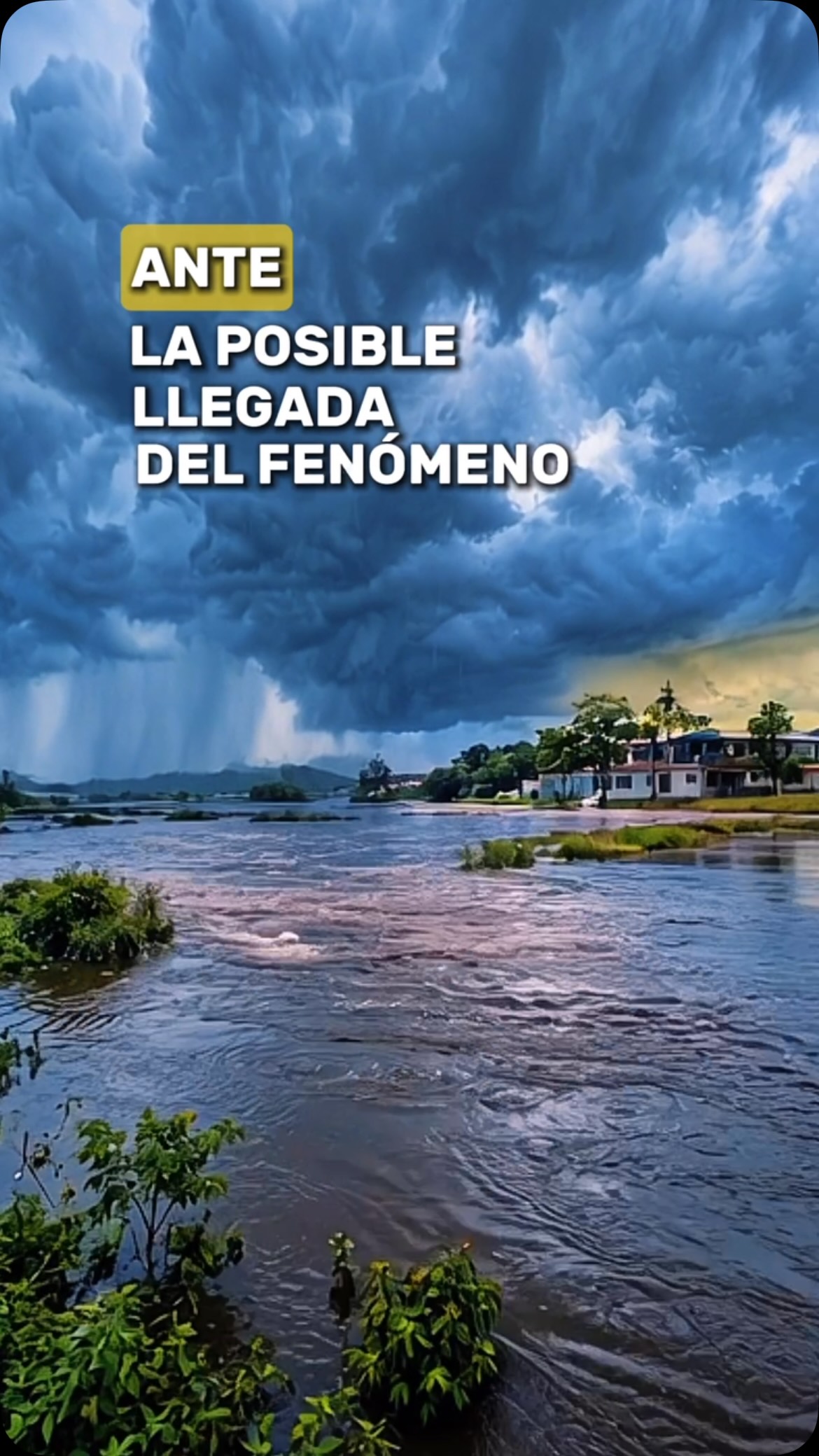 Daule se prepara ante El Niño: limpieza de canales y drenajes como prioridad