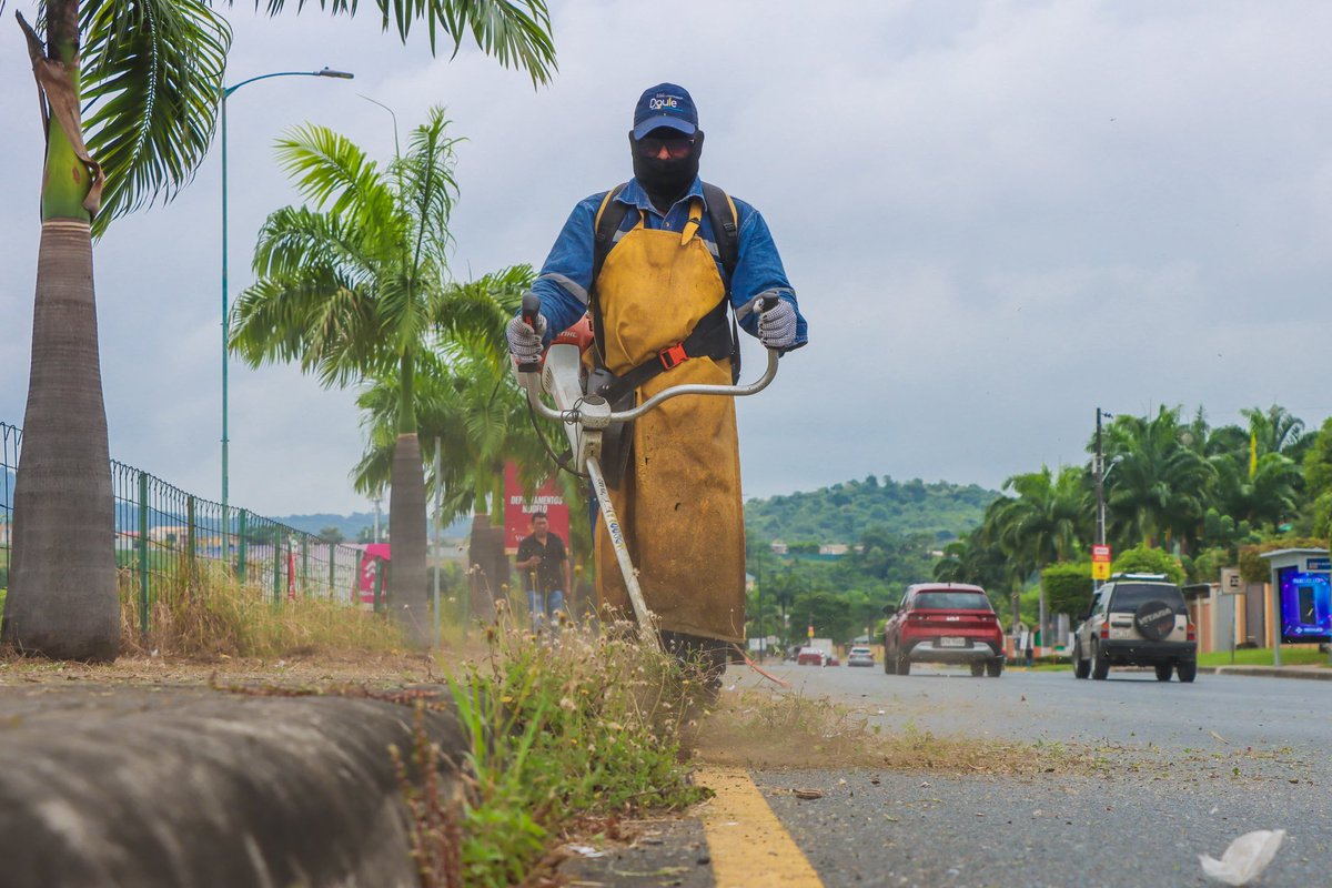 La Alcaldía de Daule limpió calles y áreas verdes en La Joya