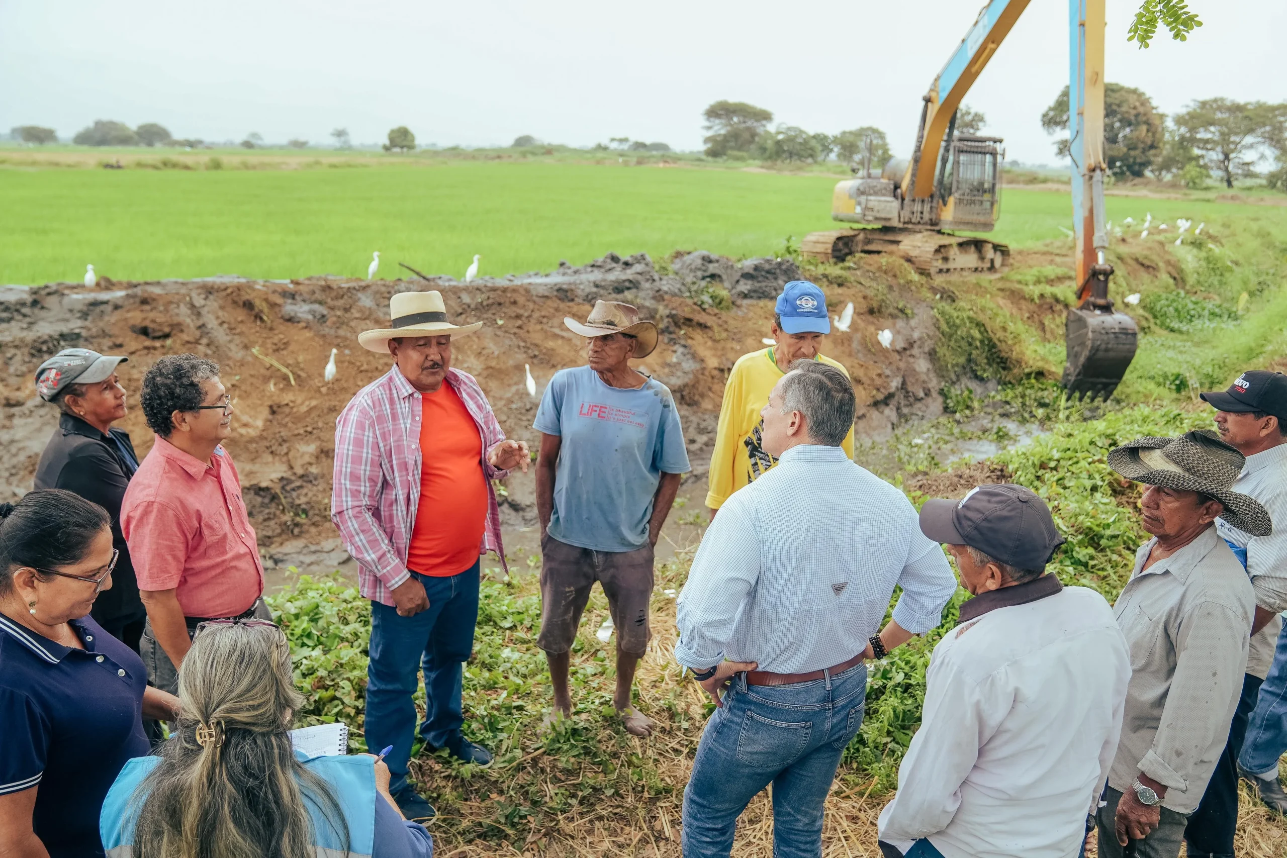 Desazolve del estero Pajonal protege 200 hectáreas de arroz en Samborondón