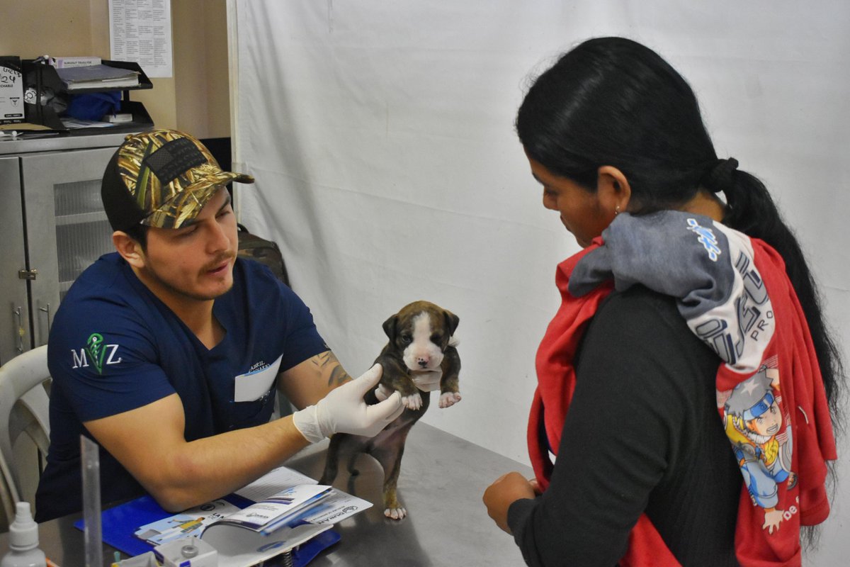 Veterinaria gratuita en Casa Comunal Ana María de Olmedo para mascotas duraqueñas