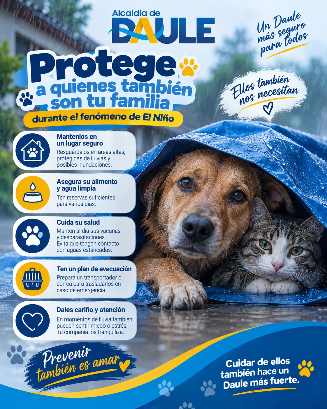 Alcaldía de Daule alerta sobre protección de mascotas ante El Niño