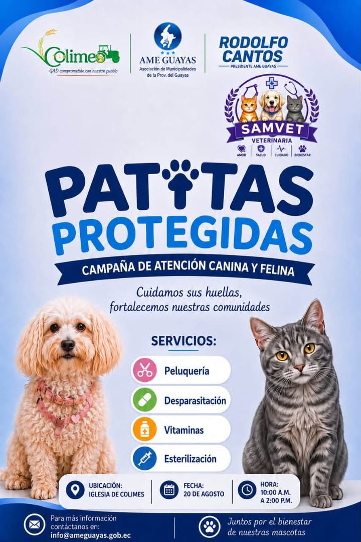 Brigada de esterilización canina y felina llega mañana a Colimes